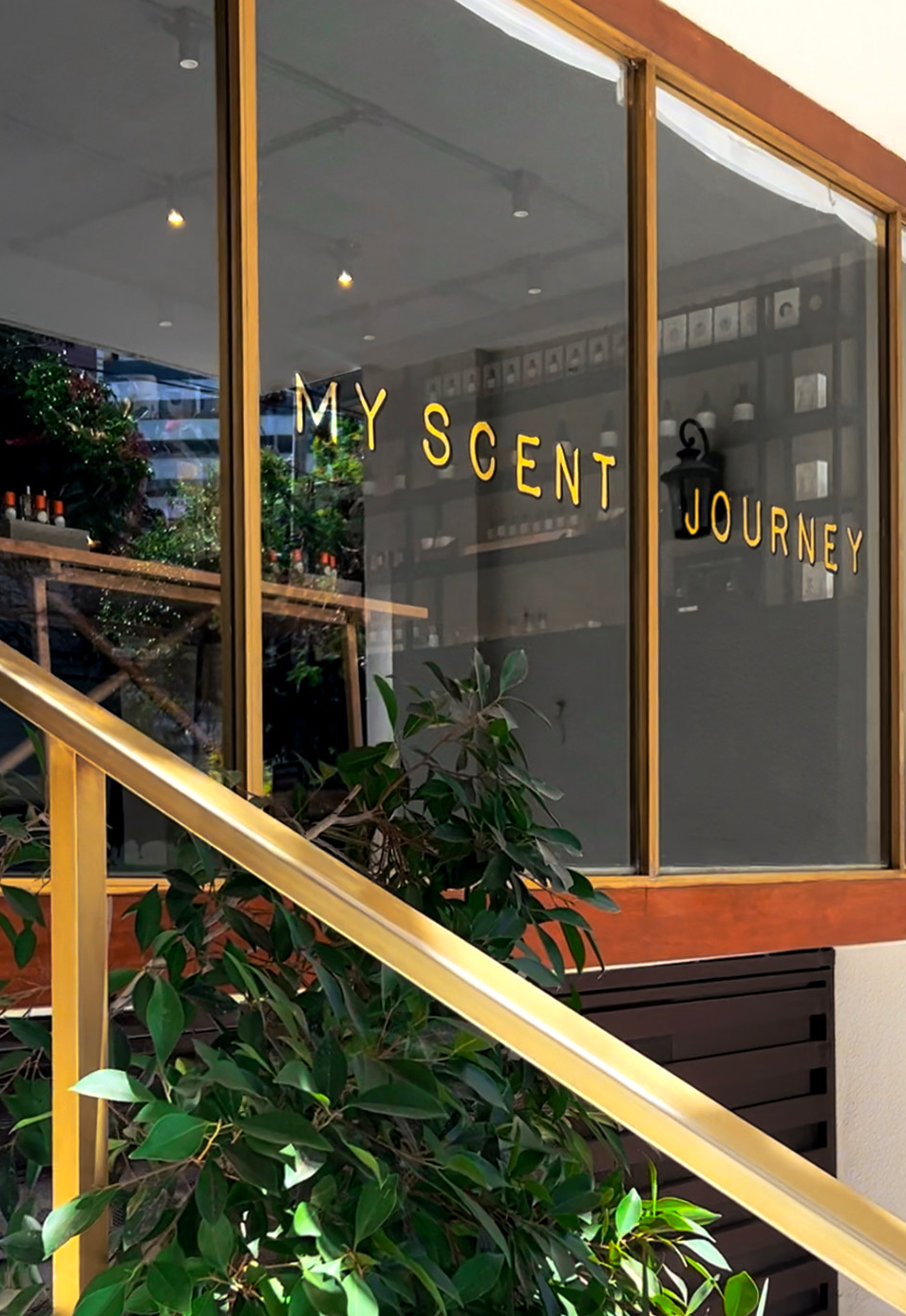 My Scent Journey